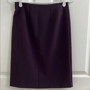 Elegant Purple Women's Skirt